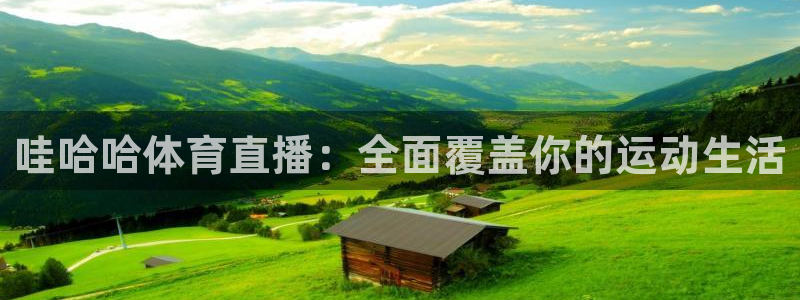 888看球直播吧：哇哈哈体育直播：全面覆盖你的运动生活