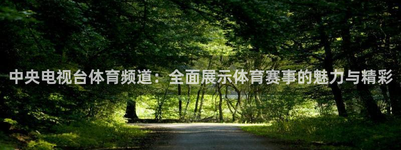 88看球nba直播免费下载：中央电视台体育频道：全面展示体育赛事的魅力与精彩