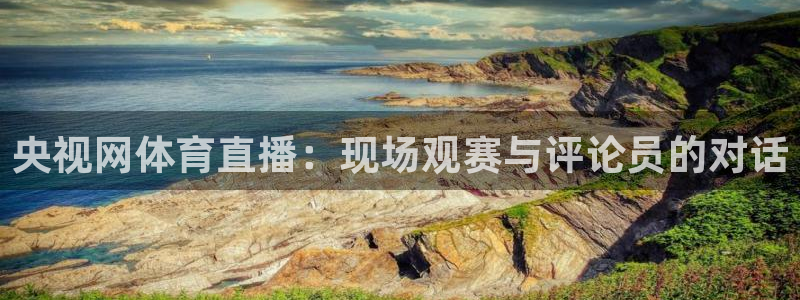 88看球免费直播高清观看：央视网体育直播：现场观赛与评论员的对话
