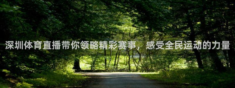 88看球网nba在线直播观看：深圳体育直播带你领略精彩赛事，感受全民运动的力量
