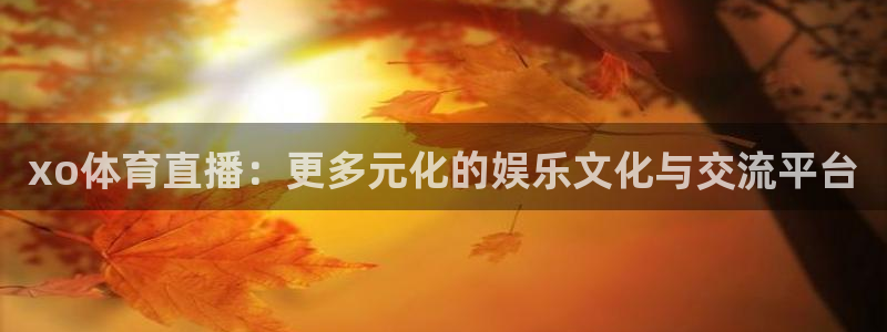 nba直播_足球直播_免费在线直播_88看球官网：xo体育直播：更多元化的娱乐文化与交流平台