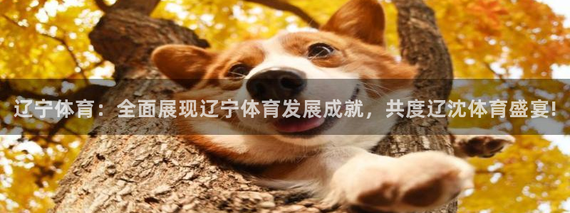 nba直播在线观看免费88看球