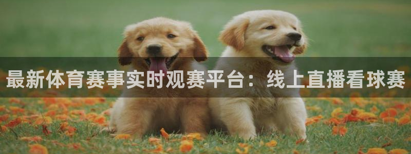 88看球直播平台：最新体育赛事实时观赛平台：线上直播看球赛