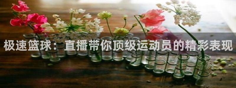 88看球直播高清：极速篮球：直播带你顶级运动员的精彩表现